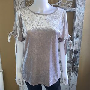 Silver Split Sleeve Velvet Top